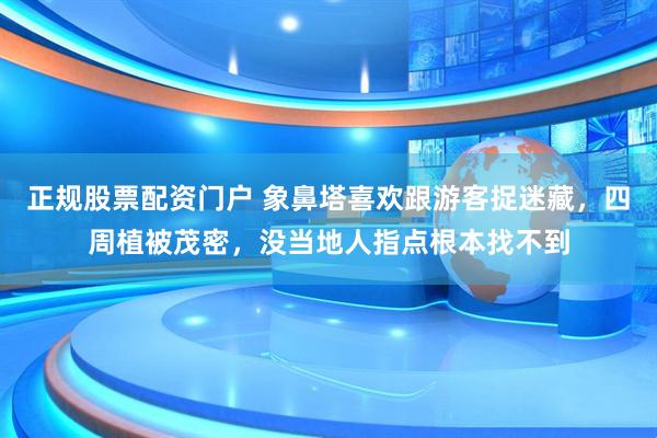 正规股票配资门户 象鼻塔喜欢跟游客捉迷藏，四周植被茂密，没当地人指点根本找不到