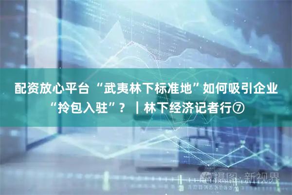 配资放心平台 “武夷林下标准地”如何吸引企业“拎包入驻”？｜林下经济记者行⑦