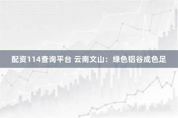 配资114查询平台 云南文山：绿色铝谷成色足